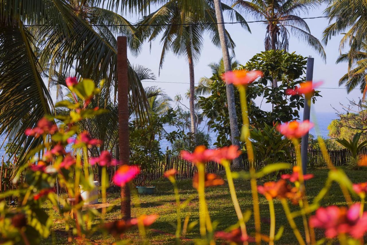 Tehan Homestay Dikwella Luaran gambar