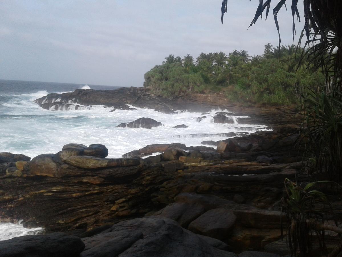 Tehan Homestay Dikwella Luaran gambar